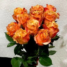 11 оранжевых роз (50 см)